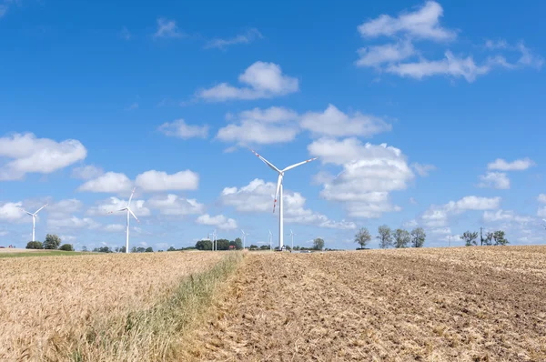 Green energy — Stock Photo, Image