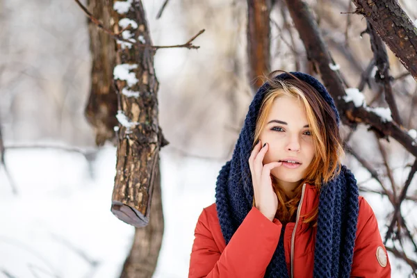 Portrét krásné ženy ve winter parku. Park je lo — Stock fotografie