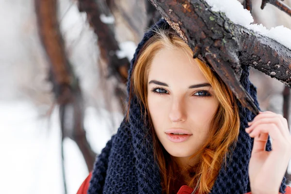 Beauty woman in the winter scenery. — Stock Photo, Image