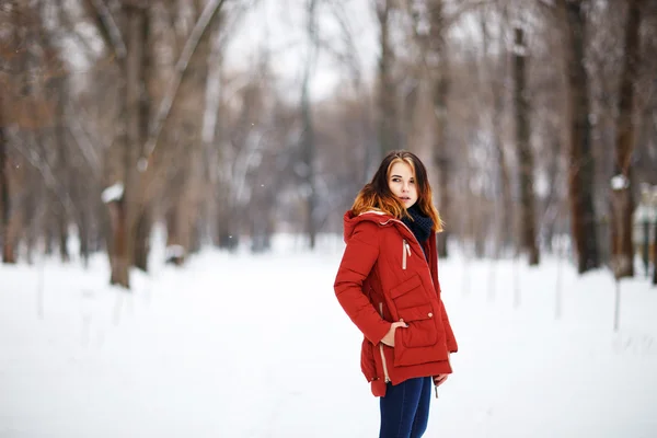 Portrét krásné dívky v zimním parku. — Stock fotografie