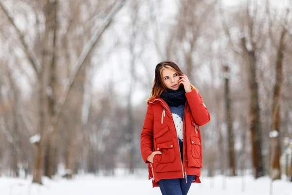 Portret van een mooi meisje in een winterpark. — Stockfoto