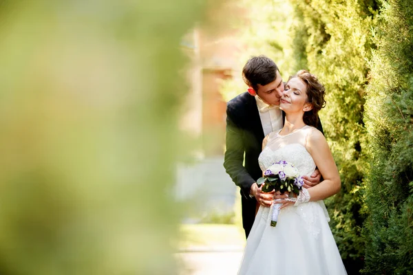 Mooi bruidspaar geniet van bruiloft — Stockfoto