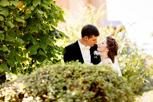 Hermosa pareja de boda está disfrutando de la boda. — Foto de Stock