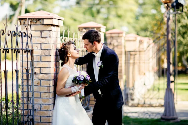 Hermosa pareja de boda está disfrutando de la boda — Foto de Stock