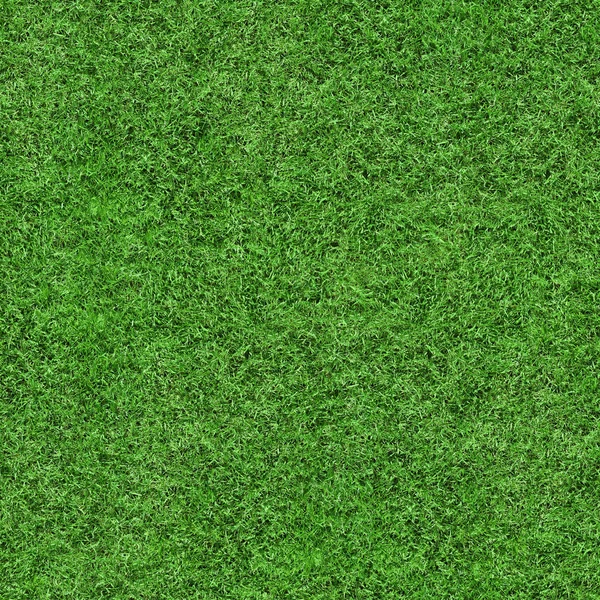 Grass Texture - sömlösa — Stockfoto