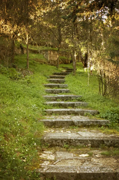 Pasos de piedra vieja — Foto de Stock