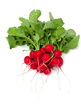 taze turp kompozisyon