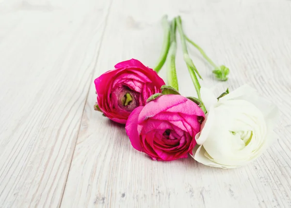 Pink and red ranunculus on wooden table and copy-space for your — Stock Photo, Image