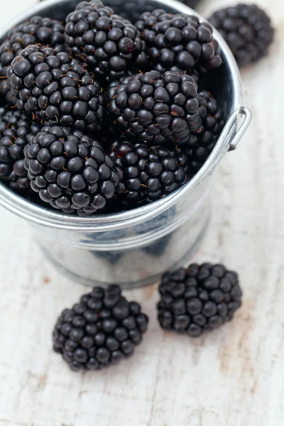 Blackberries in a bucket isolated on white background — Stock Photo, Image