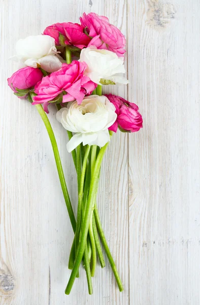 Fleurs de ranunculus roses et blanches sur la surface du bois — Photo