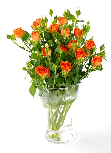 Bouquet of orange roses in a glass vase isolated on white — Stock Photo, Image