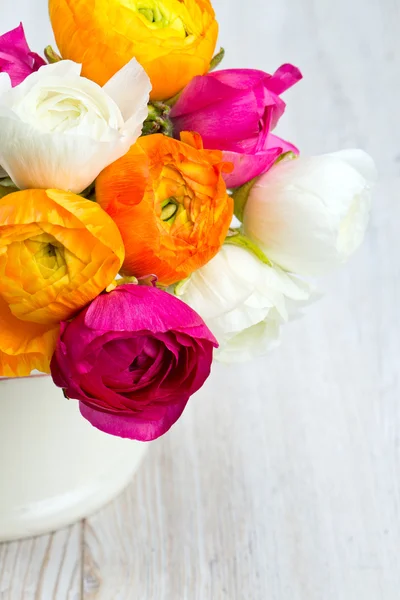 Jaskier kolorowy kwiaty na białym tle — Zdjęcie stockowe