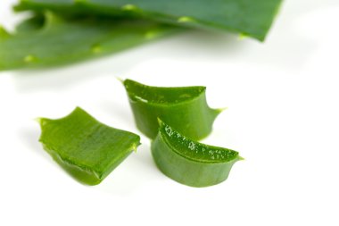 aloe vera üzerinde beyaz izole