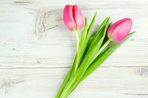Two pink tulips on white wooden surface — Stock Photo, Image