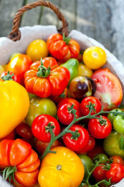 Kleurrijke tomaten in mand — Stockfoto