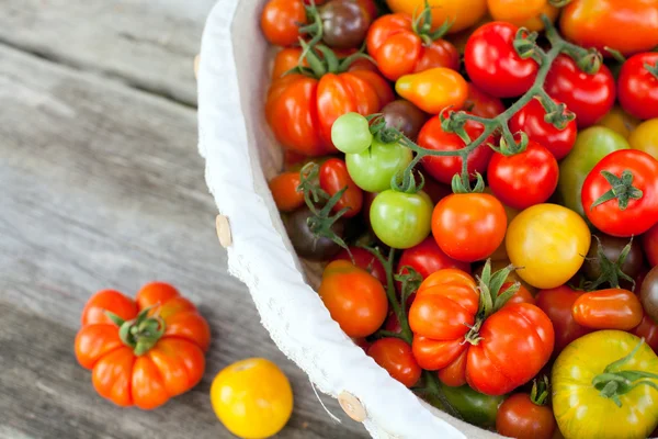 Барвисті помідори в кошику — стокове фото