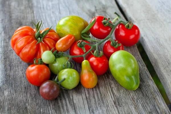 Kleurrijke tomaten op tafel — Stockfoto