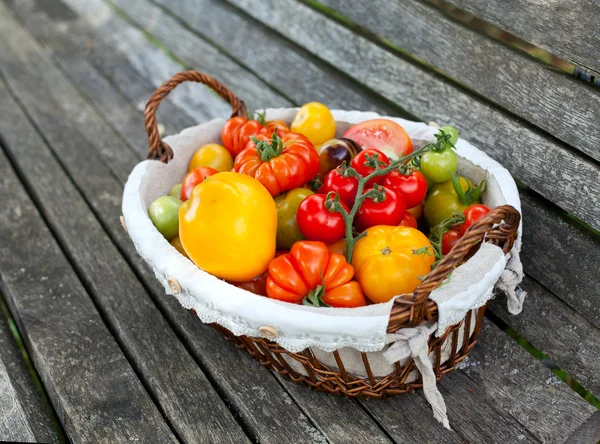 Kleurrijke tomaten in mand — Stockfoto