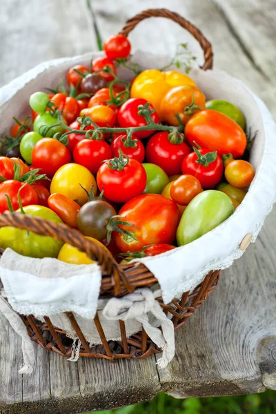 Kleurrijke tomaten in mand — Stockfoto