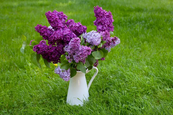 Lila boeket op groen gras — Stockfoto