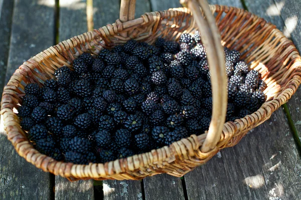 Björnbär i korg på träytan — Stockfoto