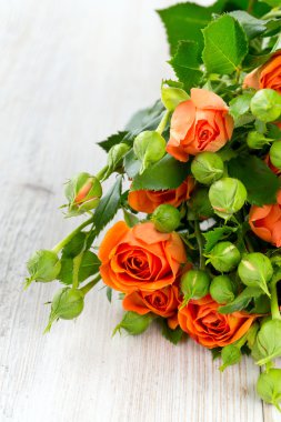 ahşap yüzey üzerinde turuncu gül