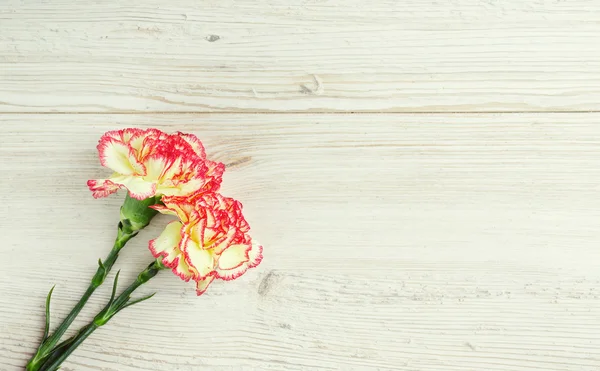 Красивые гвоздичные цветы на деревянной поверхности — стоковое фото