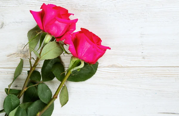 Belles roses sur table en bois — Photo