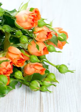 ahşap yüzey üzerinde turuncu gül