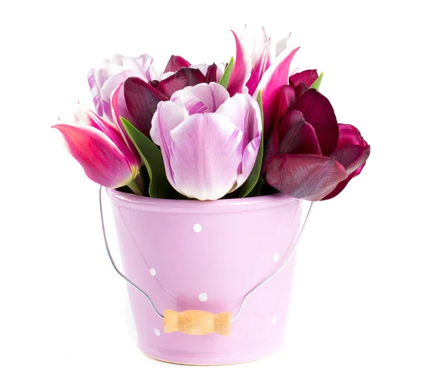 Букет тюльпанов в ведре — стоковое фото