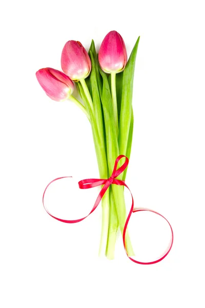 Три розовых тюльпана, связанных лентой — стоковое фото