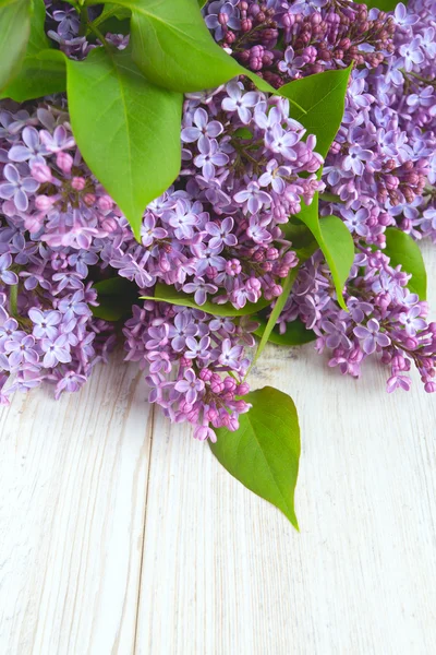 Schöner Flieder auf weißer Holzoberfläche — Stockfoto