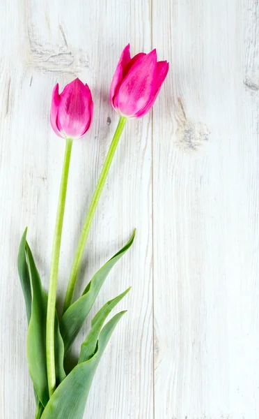 Růžové tulipány na dřevěném povrchu — Stock fotografie