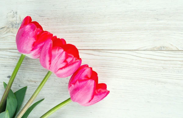 Rózsaszín tulipán fa felületen — Stock Fotó