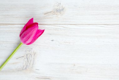 Ahşap yüzeyde pembe laleler