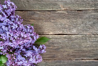 koyu ahşap yüzeyde güzel leylak