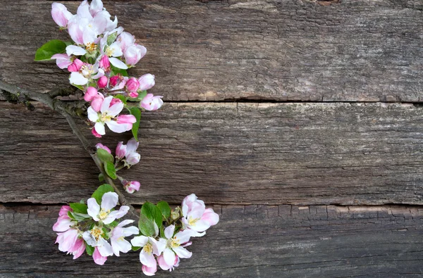 Apple blossoms on wooden surface — Stock Photo, Image