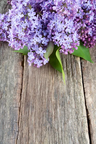 Hermosa lila en la superficie de madera oscura —  Fotos de Stock