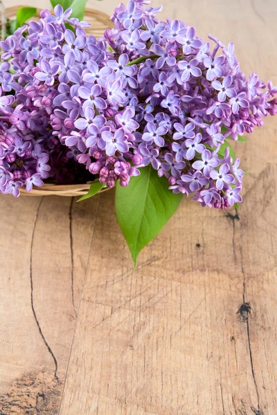 Hermosa lila en la superficie de madera oscura —  Fotos de Stock