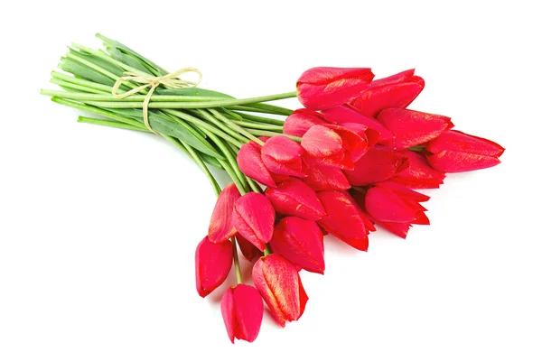 Manojo de tulipanes rojos aislados en blanco — Foto de Stock