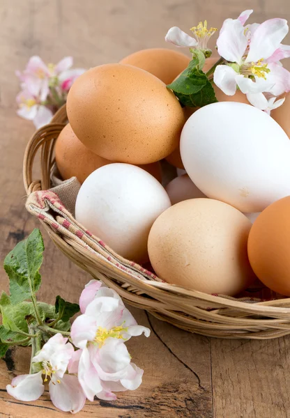 beautiful farm eggs and apple blossoms on wooden surface