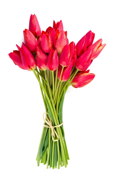Manojo de tulipanes rojos aislados en blanco — Foto de Stock