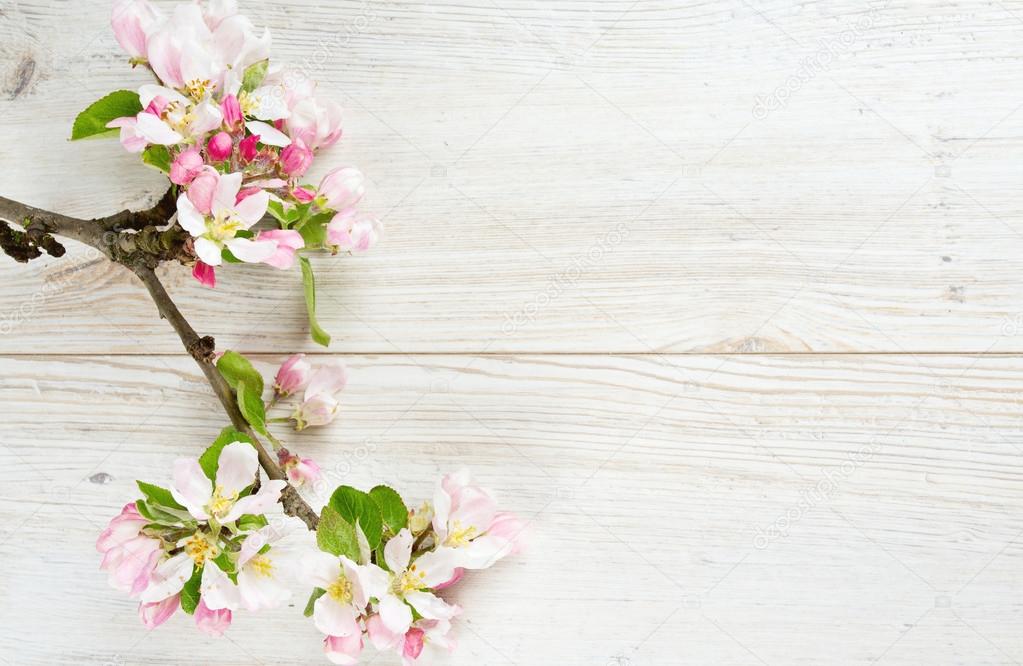 apple blossoms on white wooden surface