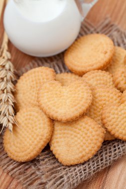 Bisküvi yakın çekim