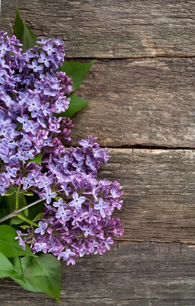 Schöner Flieder auf dunkler Holzoberfläche — Stockfoto