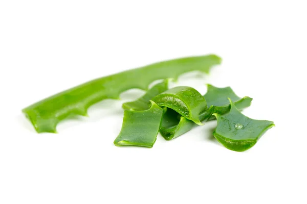 Aloe vera på vit — Stockfoto