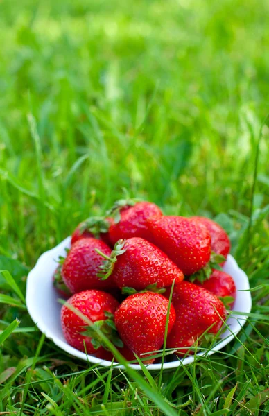 bir kase daimi yeşil çimenlerin üzerinde taze çilek