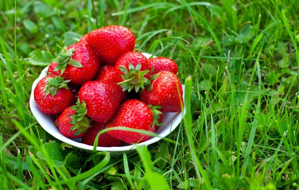 Fresh strawberry in a bowl standing on green grass — Stock Photo, Image