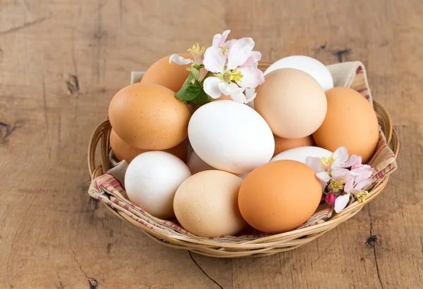 Красивые фермерские яйца и яблоневые цветы на деревянной поверхности — стоковое фото