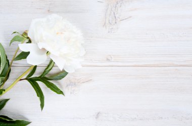 Beyaz ahşap yüzey üzerinde renkli peonies